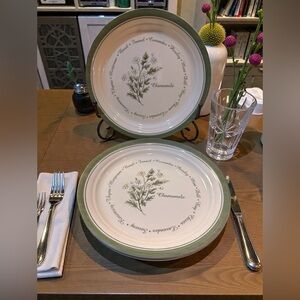 Corelle THYMELESS HERBS 8-½” Salad Luncheon Plate Lot of 4 EUC